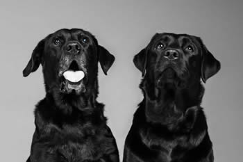 9bcb9feb-949c-48ba-a777-ce07e5d0c1e2