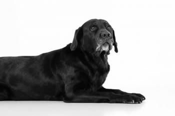 cc89b962-247d-4ee9-8385-63e9353131d3