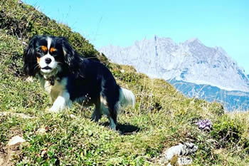 CC8FC304-031D-489C-9B17-B6344BEA4C06