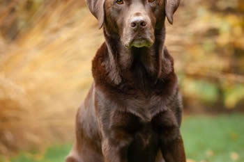 d434200d-662d-4c53-a2c7-4493385f5c6b