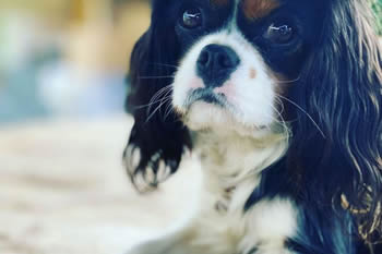 D73E84C6-4007-40EF-9DD4-3AE26EF57D67