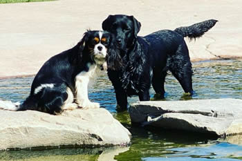 DC2E9E24-20E1-44BD-A9F3-2170CCCF7A03