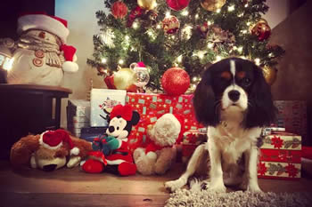 F650D8D5-05B5-4342-BB37-FC56A76A9C1B