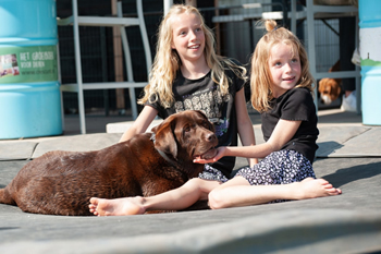 Hondenzwemvijver Ut Poeleke73-min