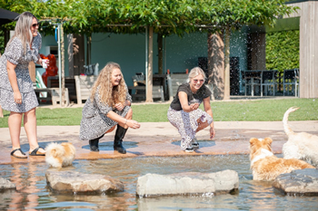 Hondenzwemvijver Ut Poeleke80-min