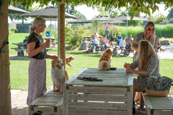 Hondenzwemvijver Ut Poeleke75-min
