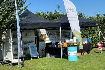 golden retriever dag 2025-13