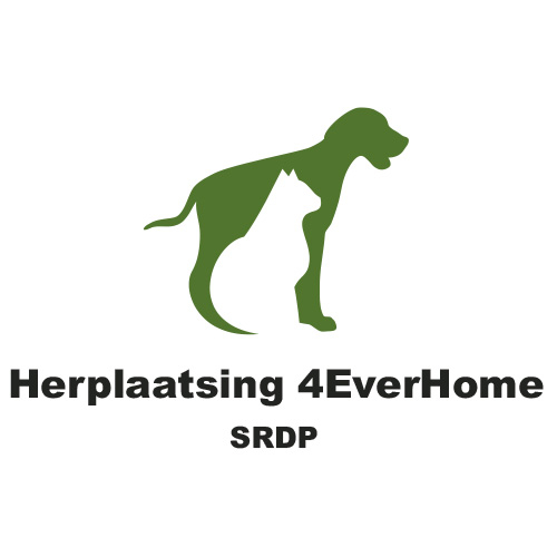 herplaatsing4everhome herplaatsing4everhome